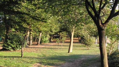 parco interno