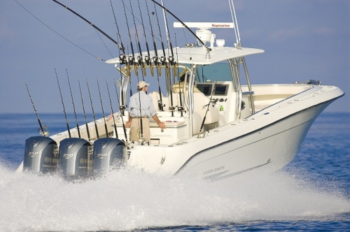 Hydra-Sports 4100 Fish