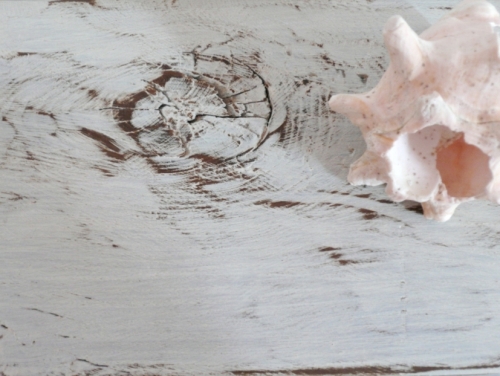Design e complementi d'arredo