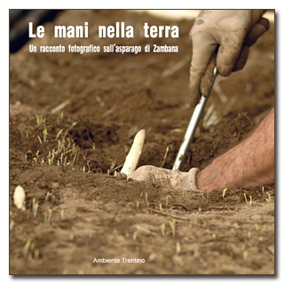 Progettazione e realizzazione volumi d'arte
