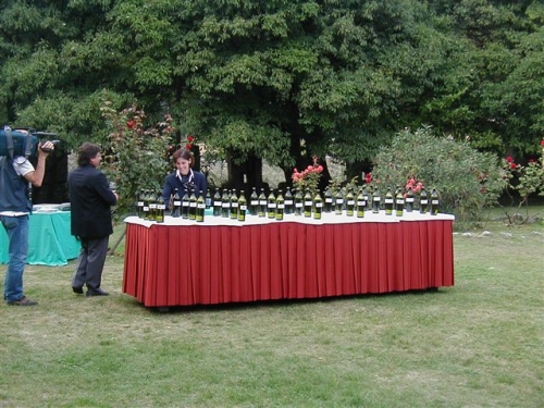 Organizzazione di eventi sostenibili