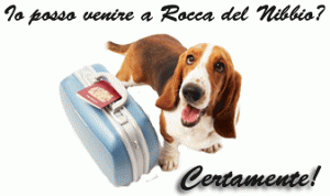 Bed and Breakfast turistico