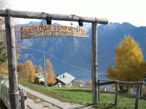 offerta vacanze