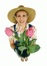 allestimenti floreali