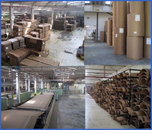 produzione cartone