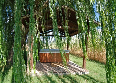 l'angolo benessere con la nostra spa