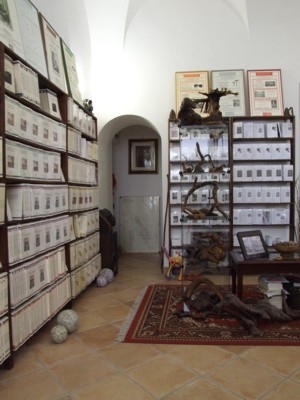 Immagini della Casa Editrice