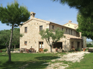 azienda agricola nelle Marche