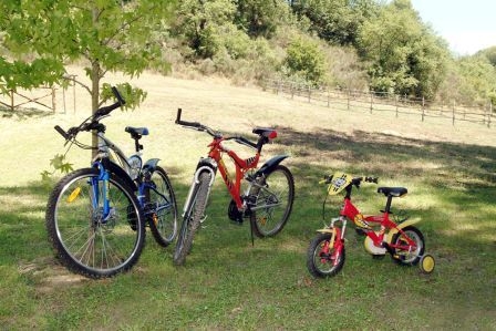 le biciclette a disposizione degli ospiti