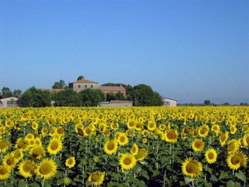 Agriturismo Pian di Barca