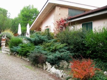 i colori del giardino