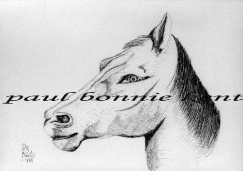 Cavallo 1 - china cm 35x50