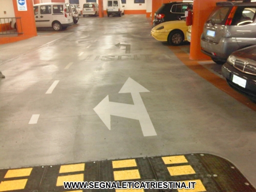 Segnaletica Stradale Triestina - Trieste: segnaletica stradale orizzontale