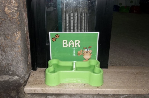 Il "bar canino" è a disposizione di tutti i cani! :)