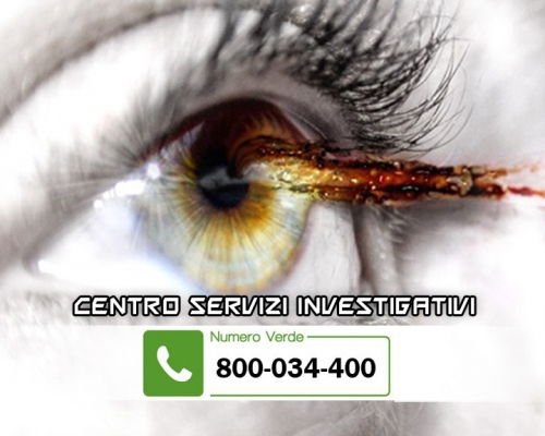 Logo Centro Servizi Investigativi e numero verde gratuito