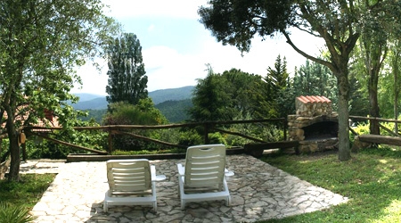 Ampio giardino con barbecue a disposizione