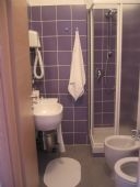 Affittacamere Casa Danè - bagno glicine