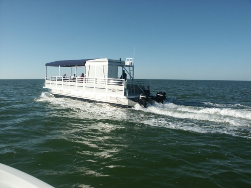 Pontoon boats italia