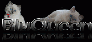 animali domestici